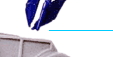 Lets Collect Dot Com