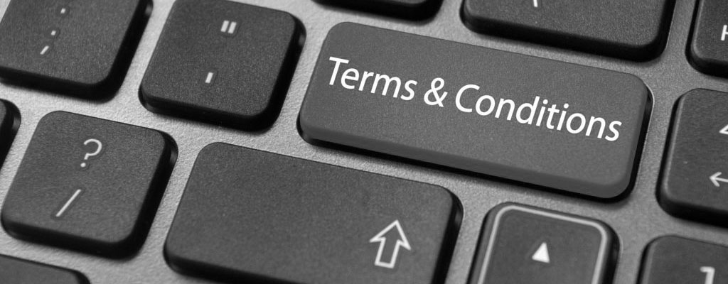 <h3>TERMS AND CONDITIONS</h3>